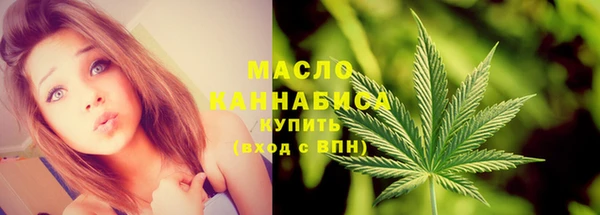 mdpv Бородино