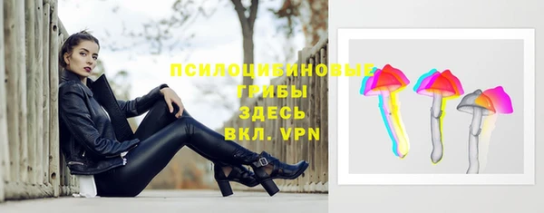 спиды Верея