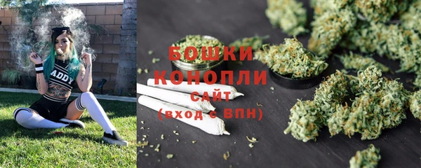 mdpv Бородино