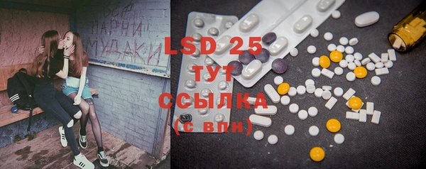 mdpv Бородино