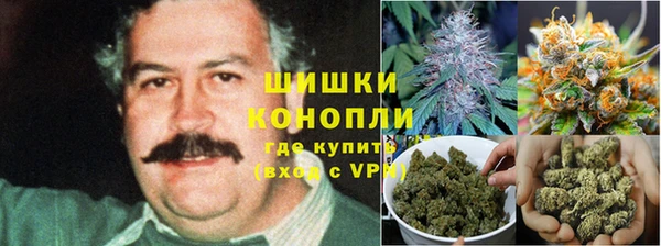 mdpv Бородино