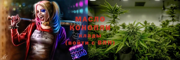 mdpv Бородино