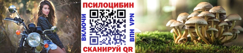 продажа наркотиков  мега   Галлюциногенные грибы Cubensis  Сосногорск 